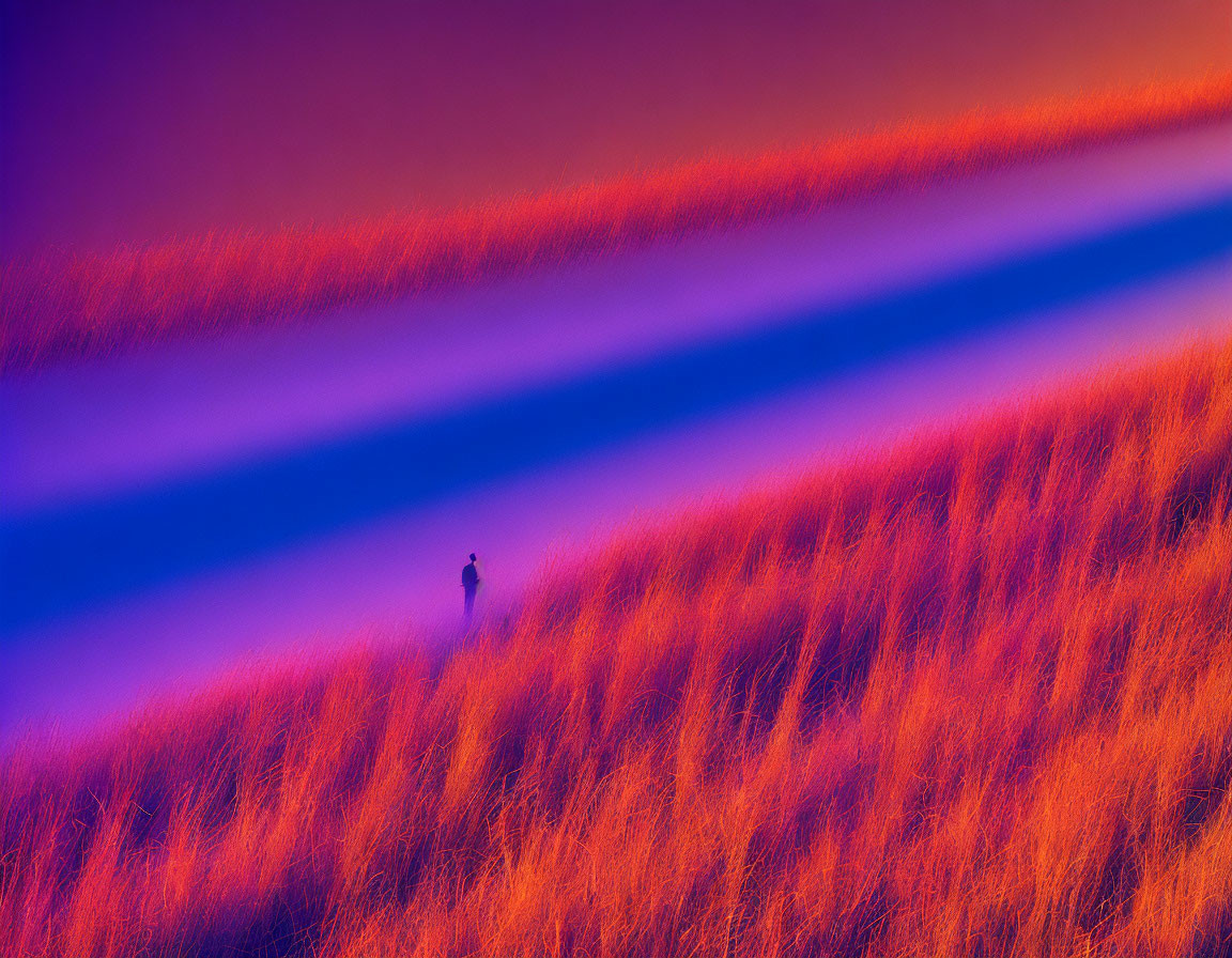 Lone Figure in Orange Grass with Purple and Blue Bands