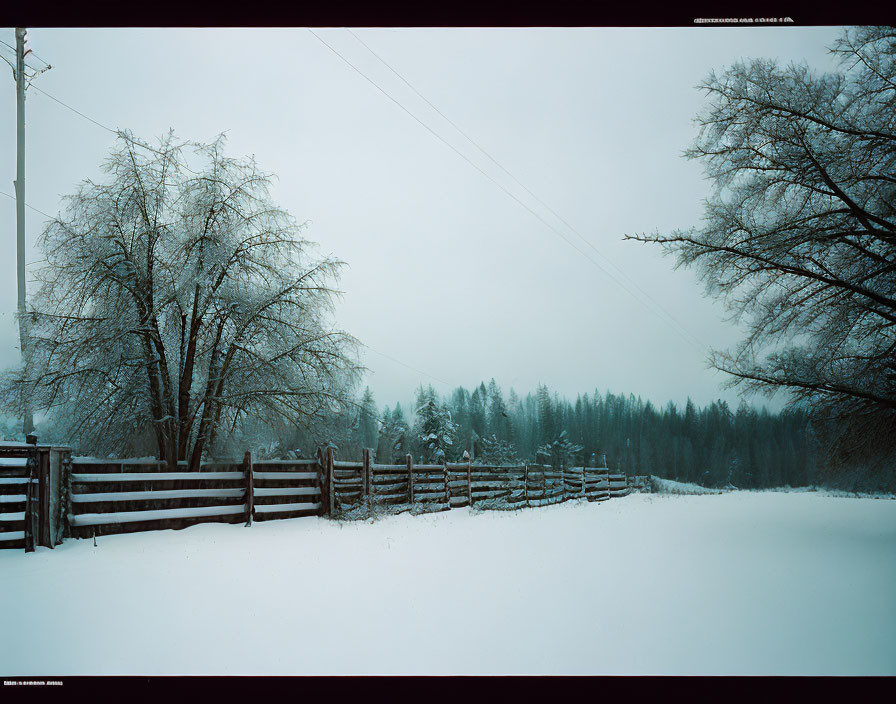 Frosty trees and wooden fence in snow-covered winter landscape