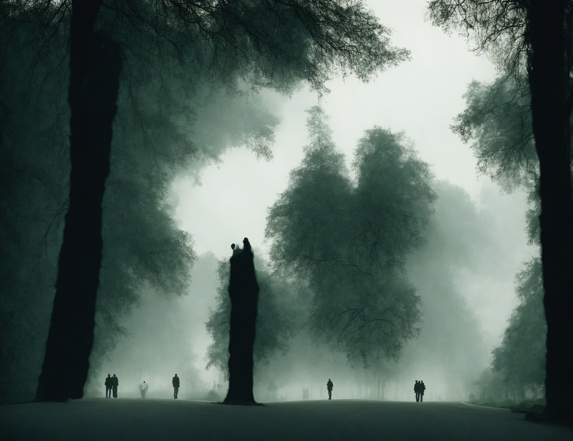 Foggy forest path with silhouetted trees and people walking