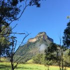 Medieval castle on steep rock amid trees under blue sky