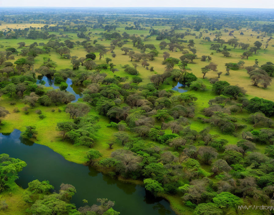 Scenic aerial view of lush green landscape with rivers and ponds