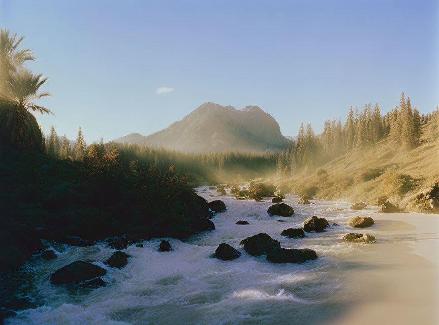 Misty river and mountain landscape with palm trees