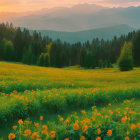 Vibrant yellow flowers in lush green landscape with rolling hills and warm sun glow