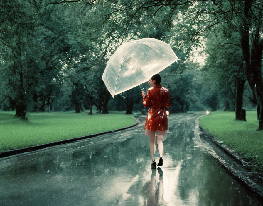 Person in red coat with transparent umbrella walking in lush park