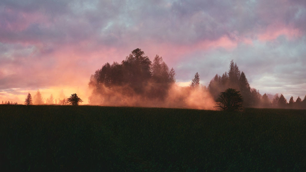 Misty field at dusk with tree silhouettes under pink and orange sky