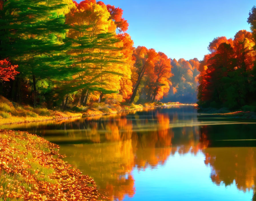 Colorful autumn trees reflecting in calm river under clear sky