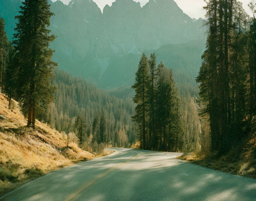 Scenic winding road through dense forest and mountains