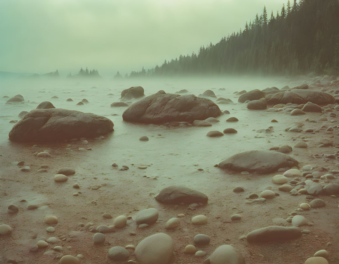 Misty shoreline with smooth rocks, boulders, and forest under hazy sky