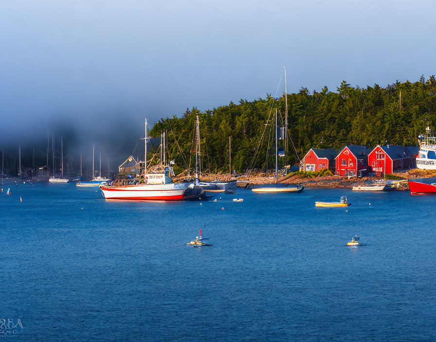 Sailboats in calm bay with fog, red buildings, blue sky