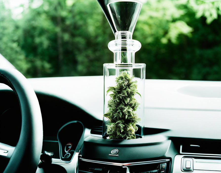 Transparent glass container with green foliage and funnel in car cup holder against blurry background