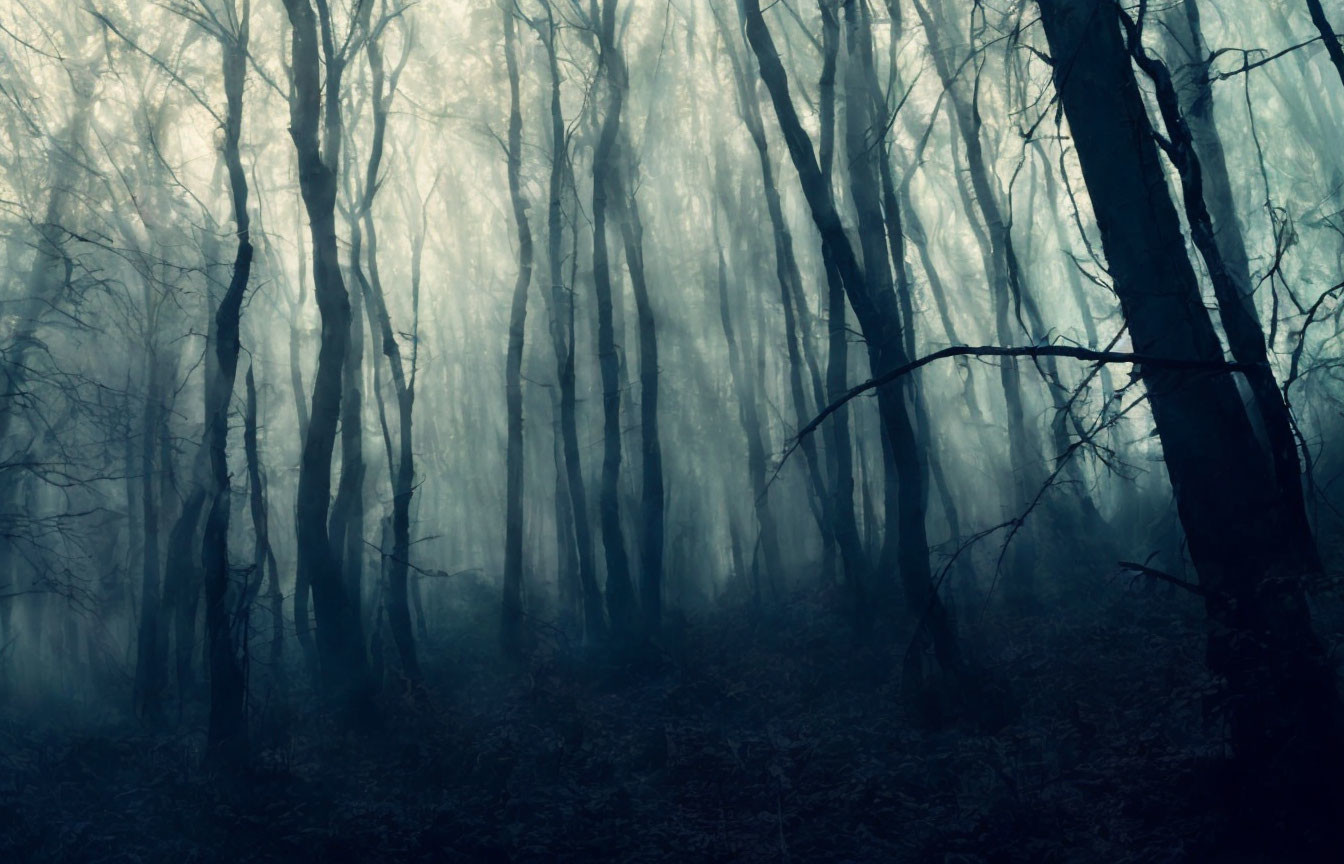 Mystical blue-tinted forest in dense fog