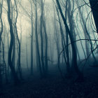 Mystical blue-tinted forest in dense fog