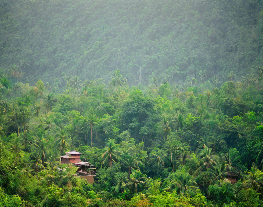 Lush Green Tropical Landscape with Hidden Houses in Misty Atmosphere