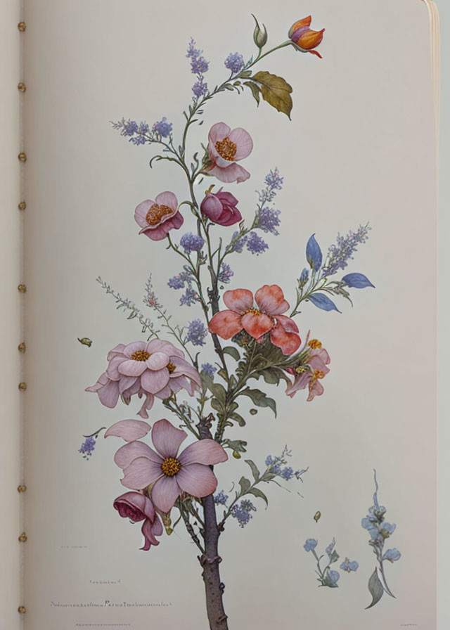 Botanical Illustration of Roses and Lilies in Vertical Arrangement