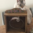 Realistic painting: Two cats with matching fur on ornate golden-framed speaker