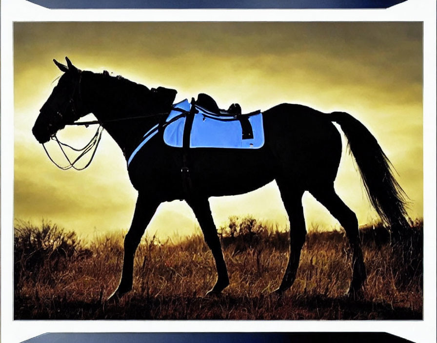 Saddled horse silhouette against golden sunset sky