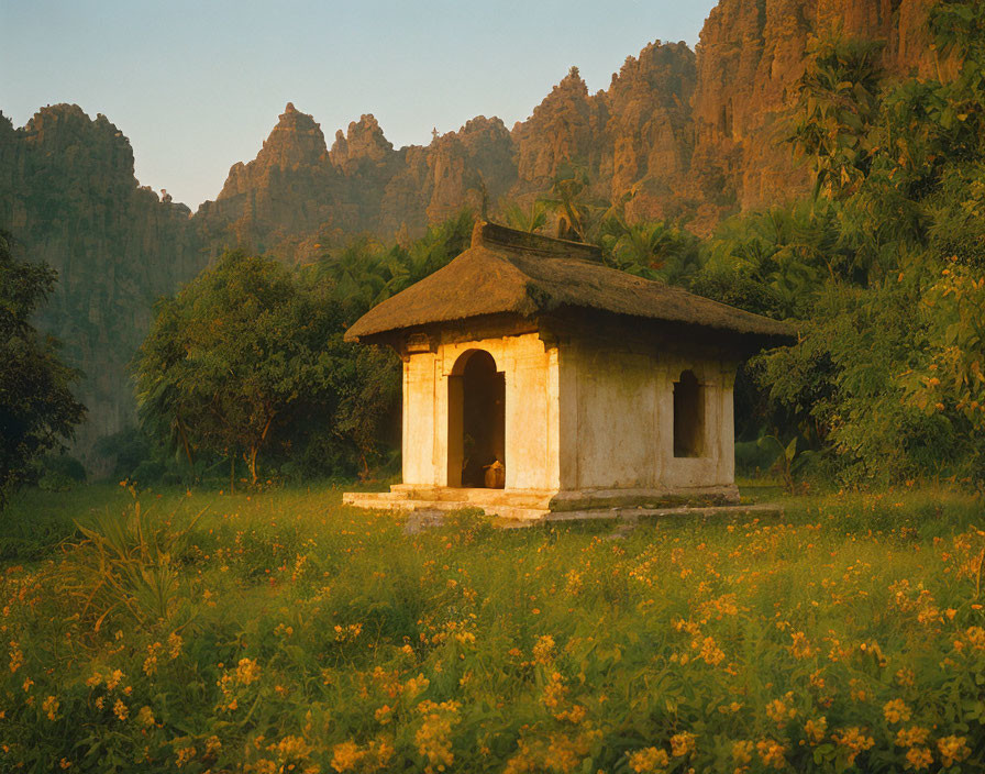 Solitary hut with thatched roof in lush mountain setting