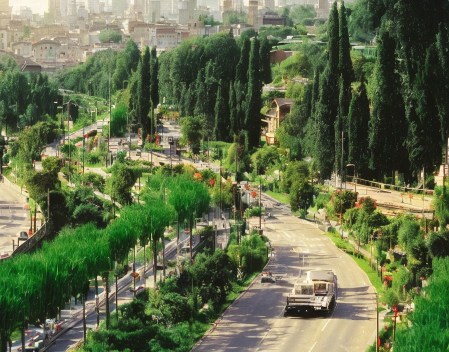 Cityscape with green trees, bus, buildings, and hazy sky.