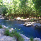 Tranquil forest scene with blue stream and lush green trees