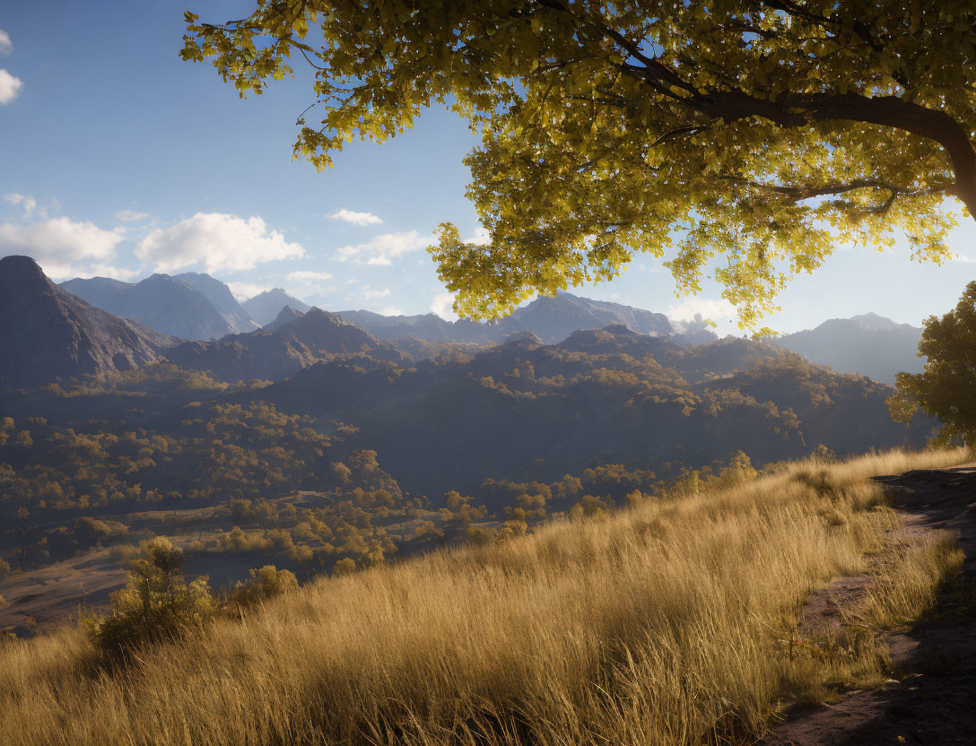 Sunlit tree with mountains and tall grass under clear blue sky