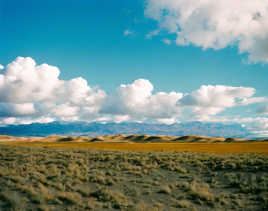 Vast desert landscape with rolling sand dunes and distant mountains