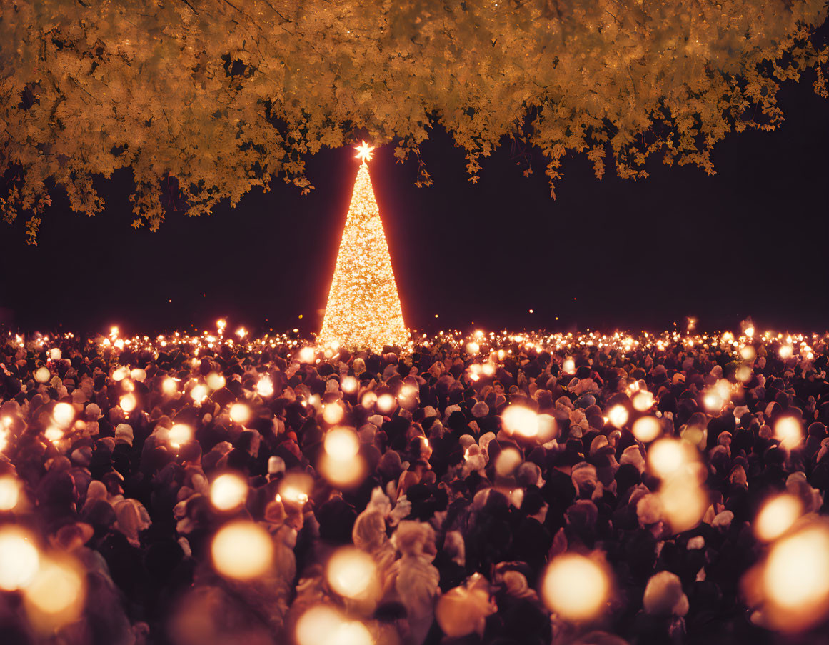 Crowd with candles under night sky near illuminated Christmas tree