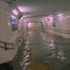 Flooded subway station with person wading and parked train