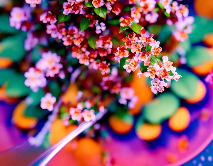 Detailed view of pink and white flowers against vibrant blurred backdrop