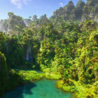 Tropical Forest with Towering Trees and Blue Pond