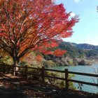 Scenic autumn landscape with wooden bridge, lake, foliage, birds, mountains, and fish.