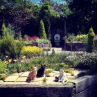 Colorful Cat Illustration in Mystical Garden with Moon and Stars