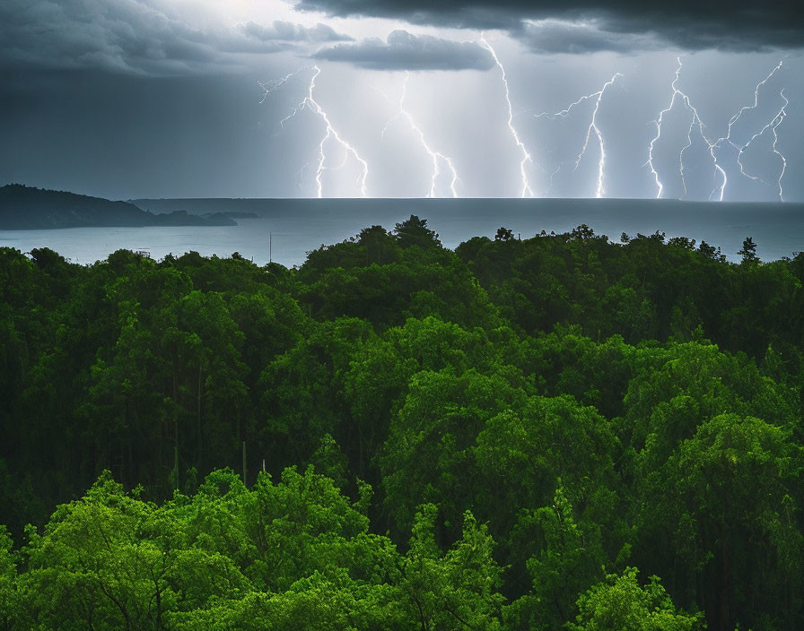 Stormy Sky with Lightning Strikes Above Green Forest and Sea