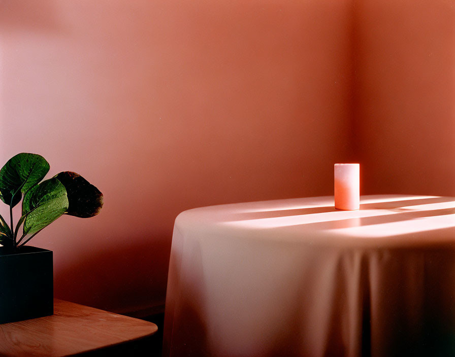 Tranquil indoor setting with potted plant, table, candle, and rose-hued wall