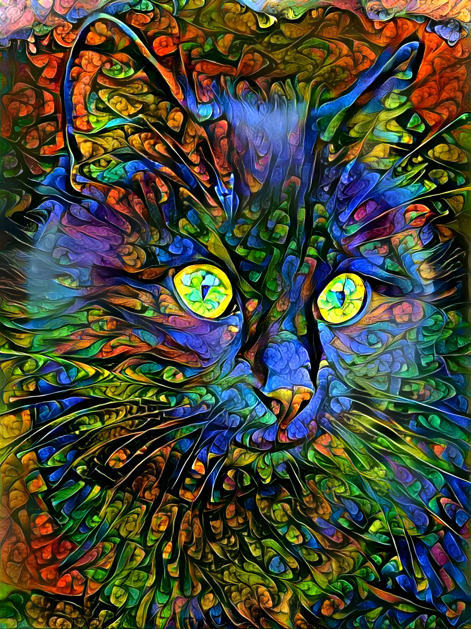 Sparkly cat