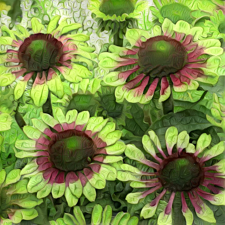 Embroidered green daisies