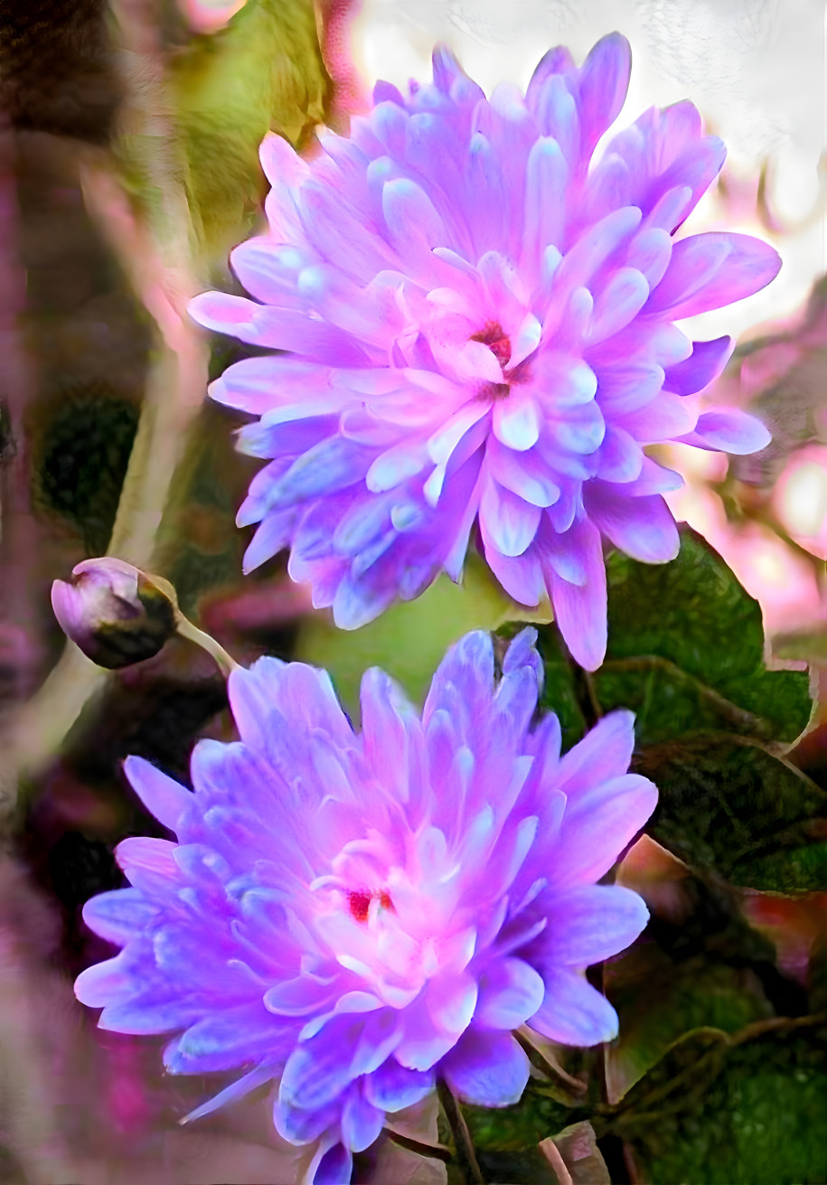 Lilac posies