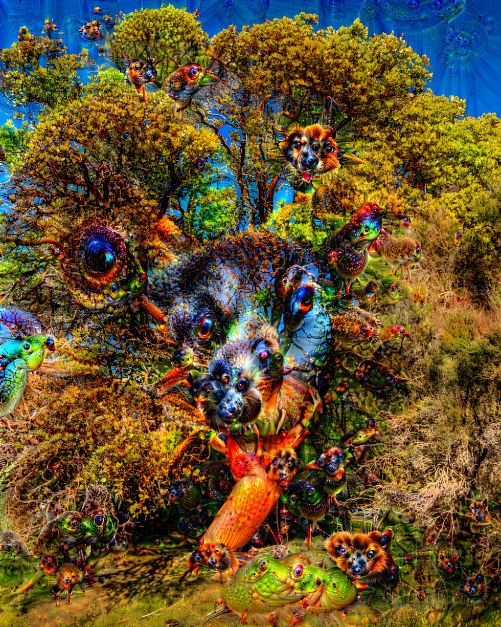 Deep Dream Madrone