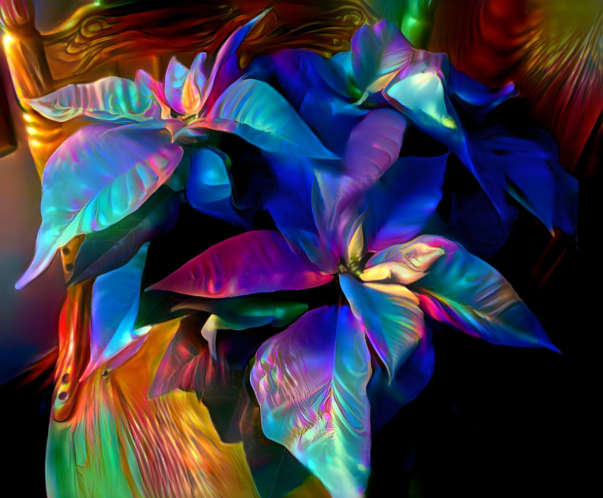 Iridescent poinsettia