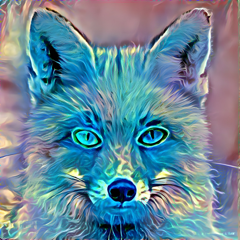 Baby colors fox