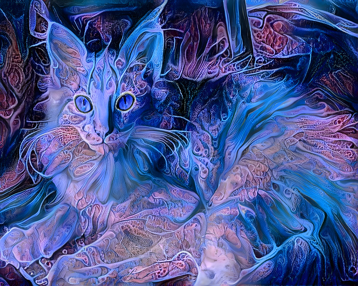 Frosty Cat Spirit