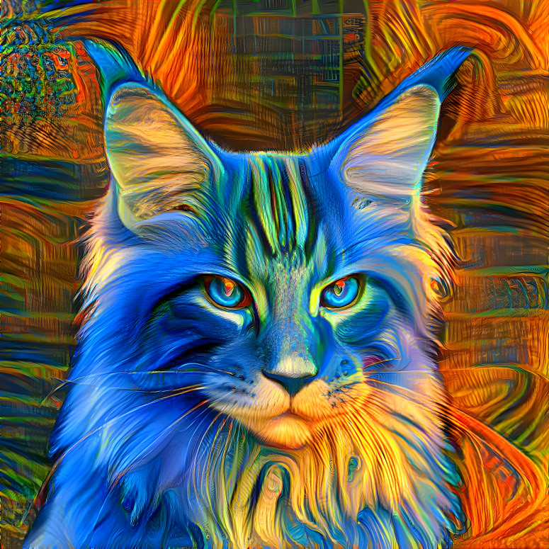 Blue kitty extraordinaire