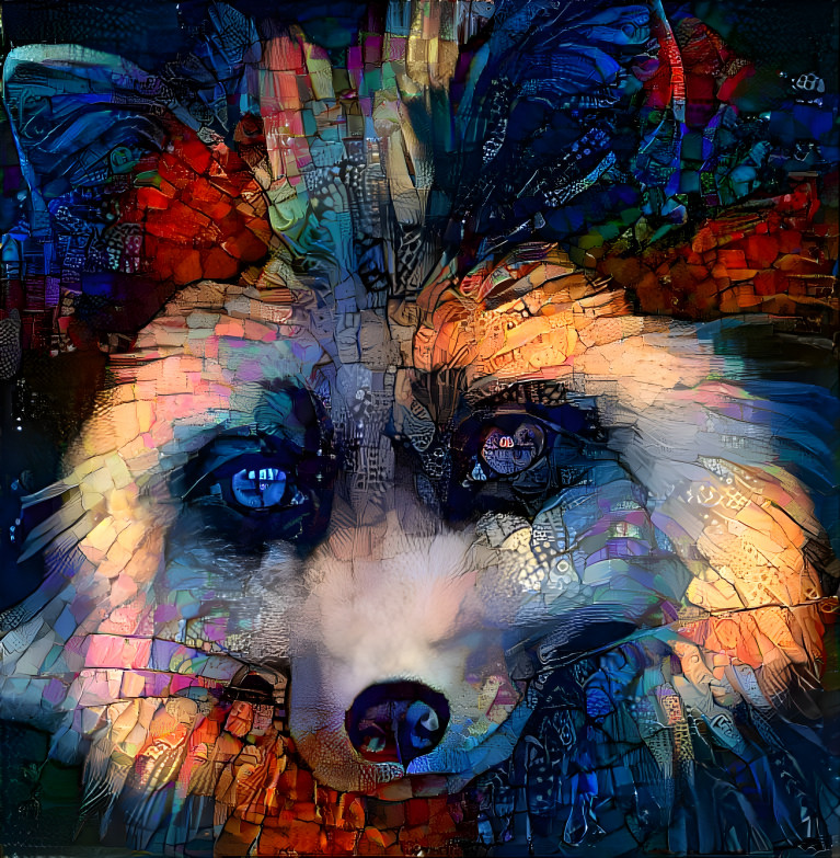 Twilight fox