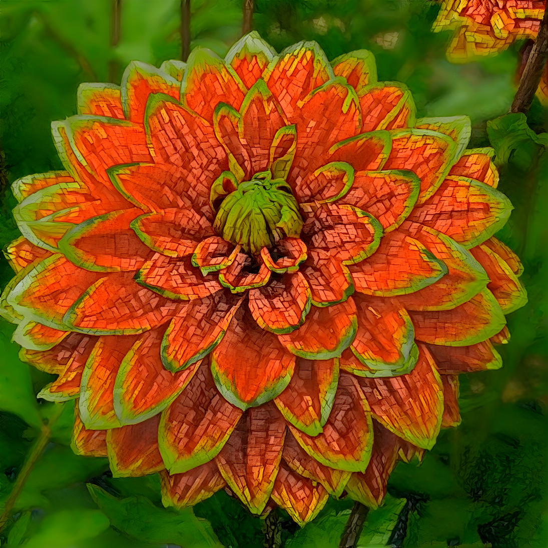 Orange pretty mum