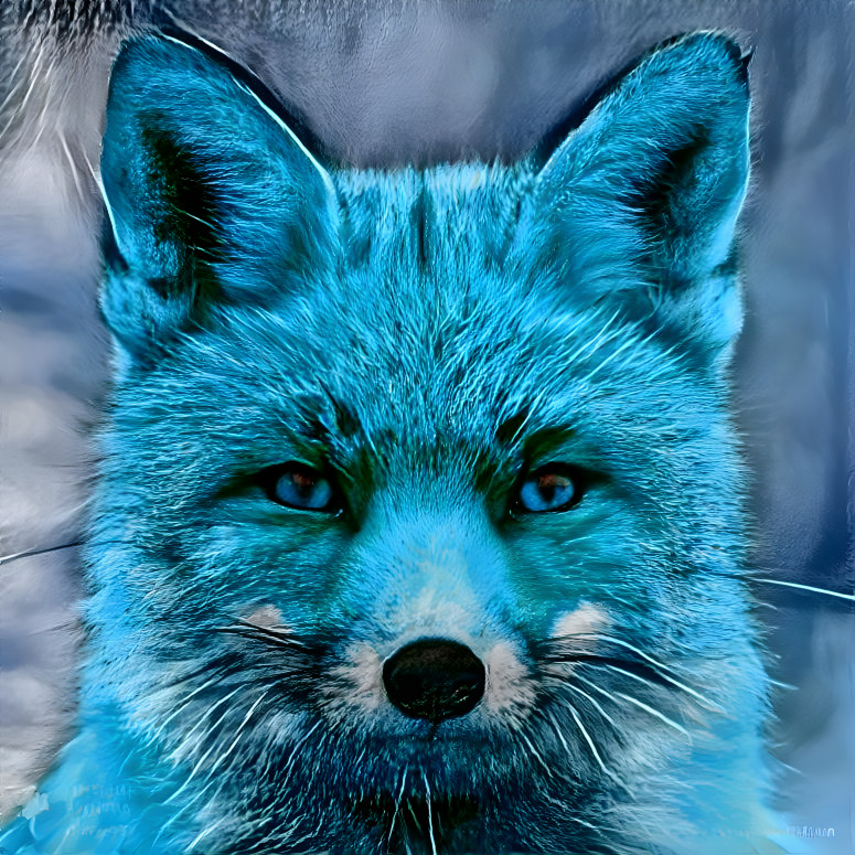 Blue fox 