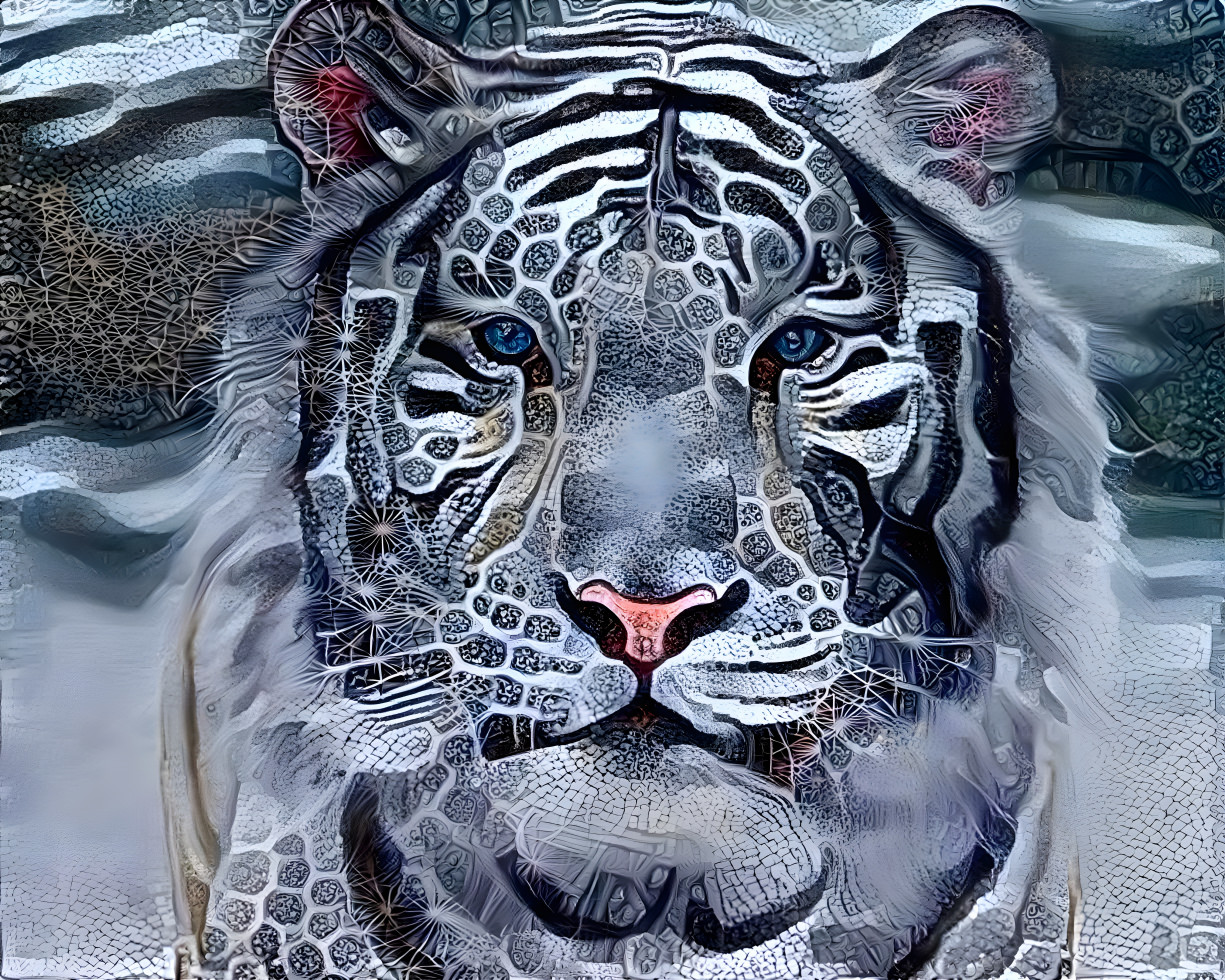 White tiger pretty 