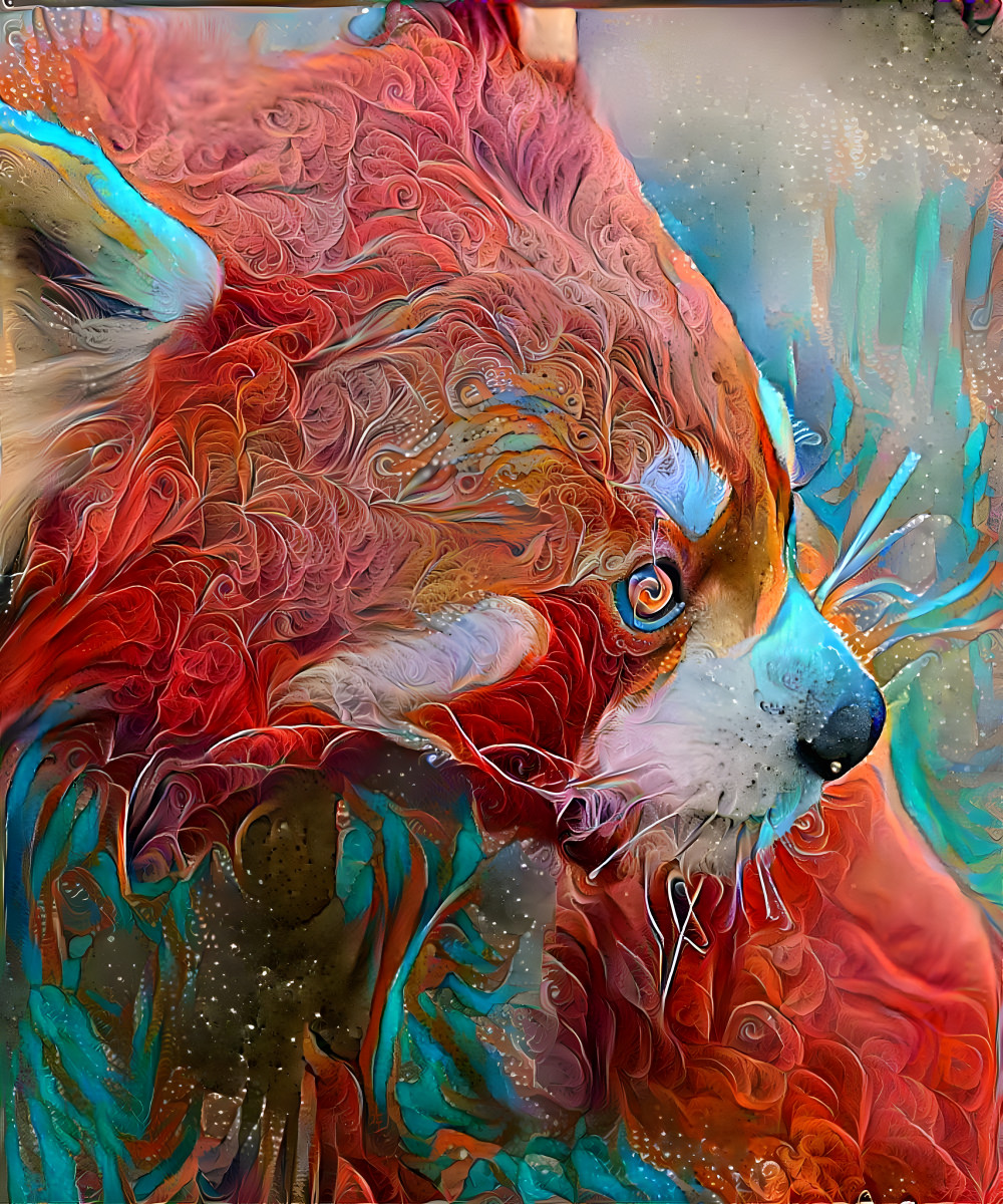 Red panda boi