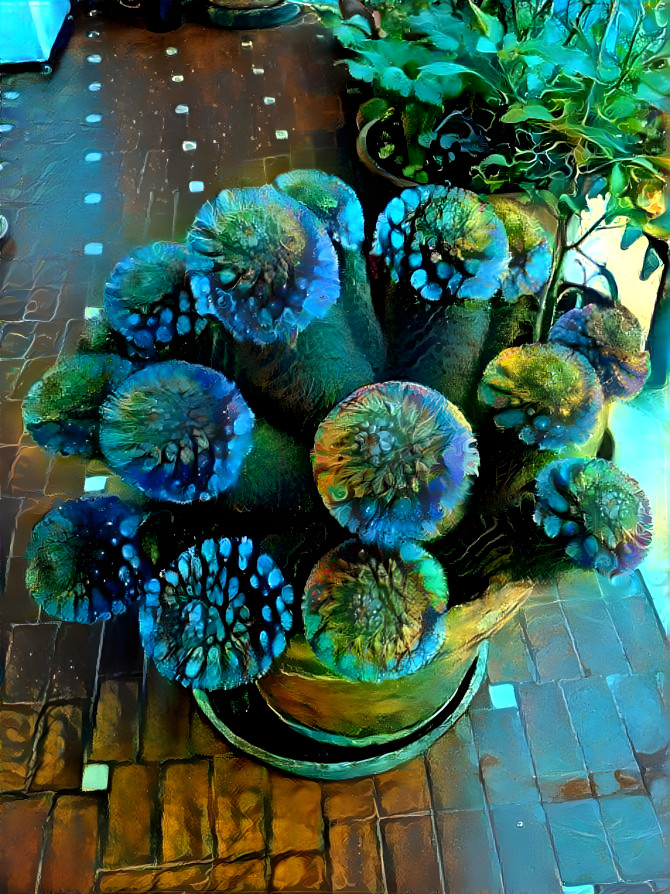 Electric teal blue cacti