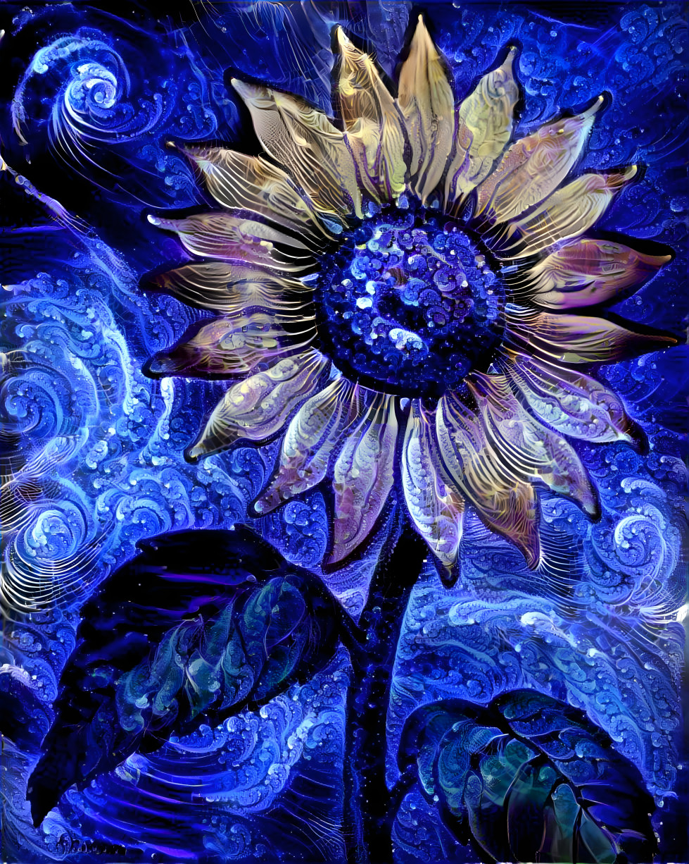 Blue sunflower