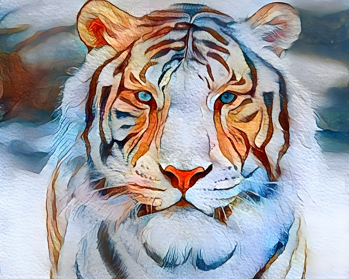 Handsome tiger