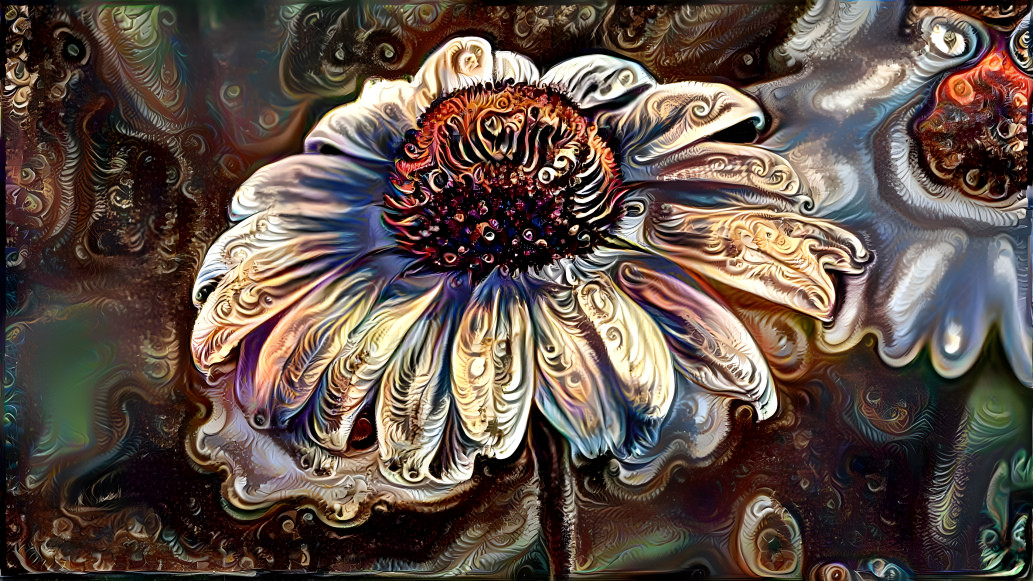 Burnished bloom